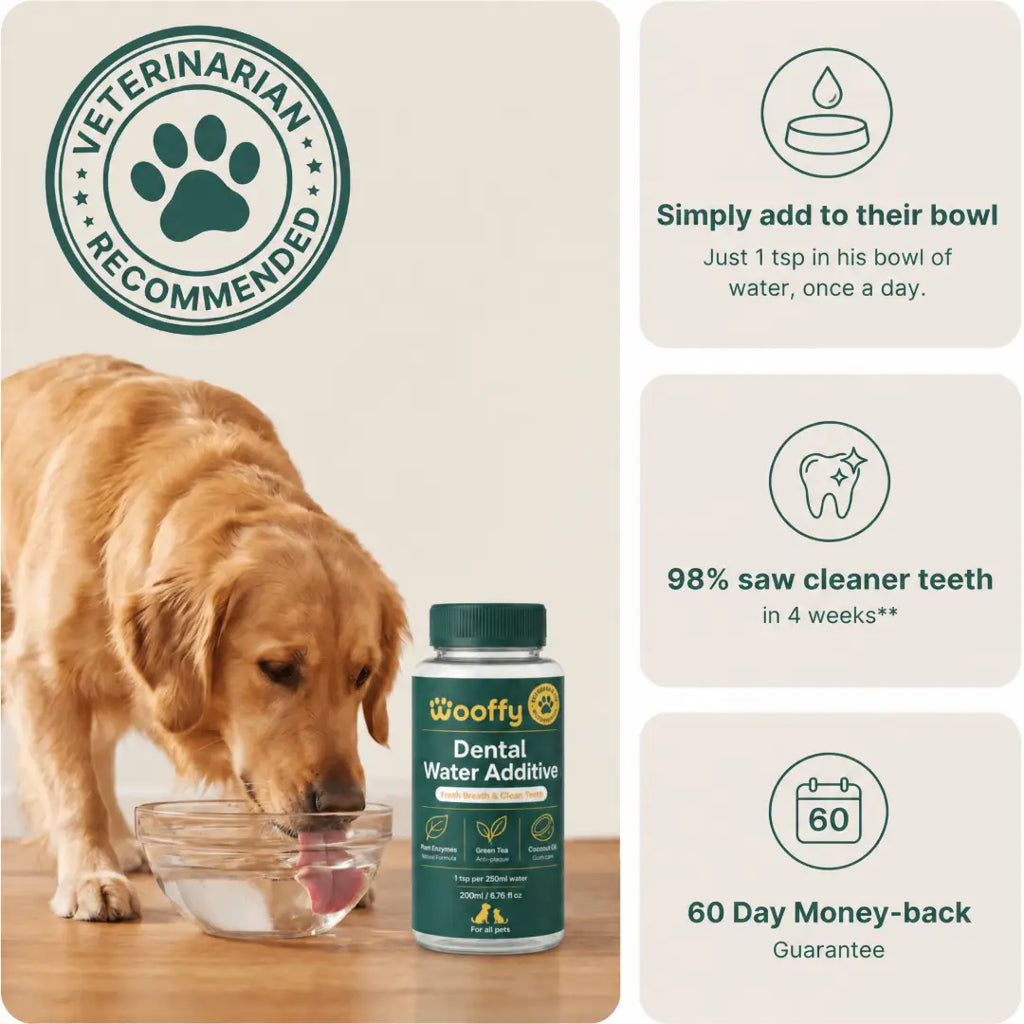 Wooffy™ Dental Water Additive | Fresh Breath & Cleaner Teeth