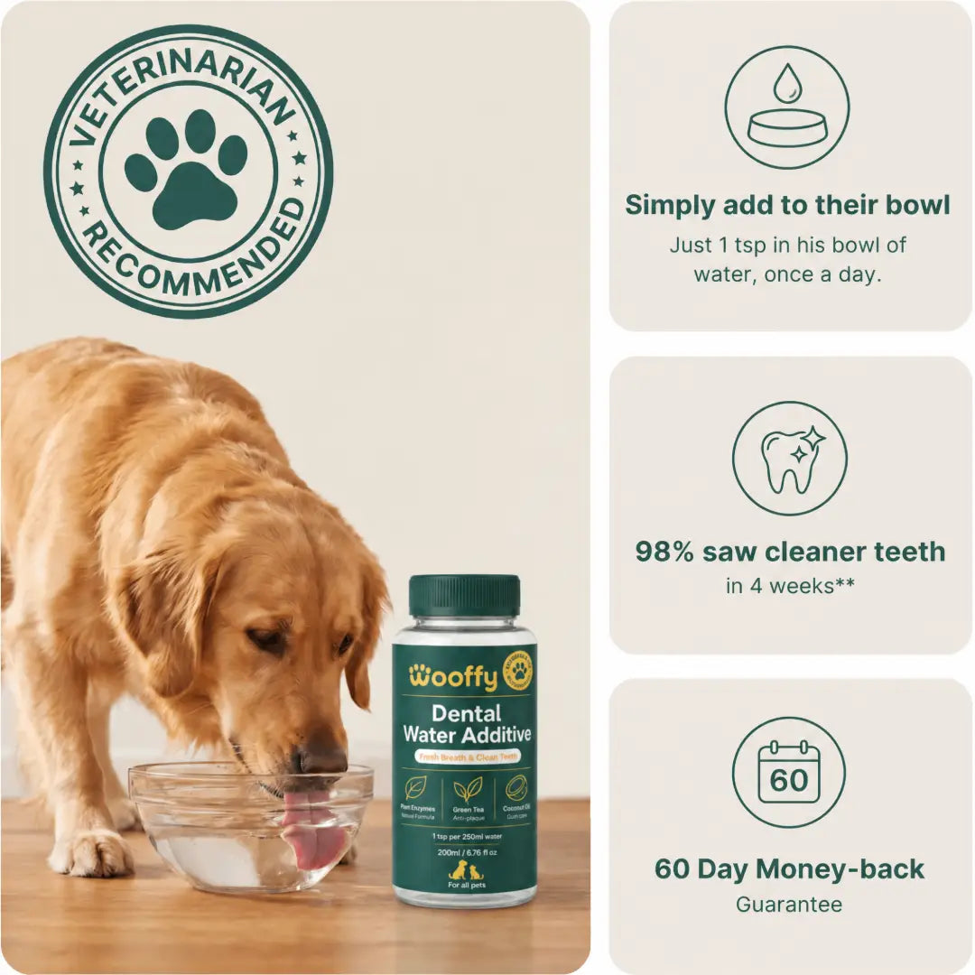 Wooffy™ Dental Water Additive | Fresh Breath & Cleaner Teeth